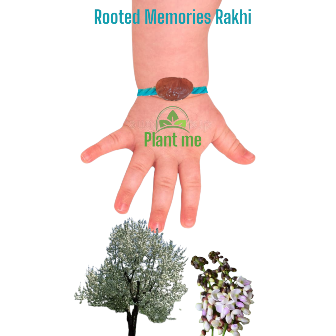 Rooted Memories Rakhi