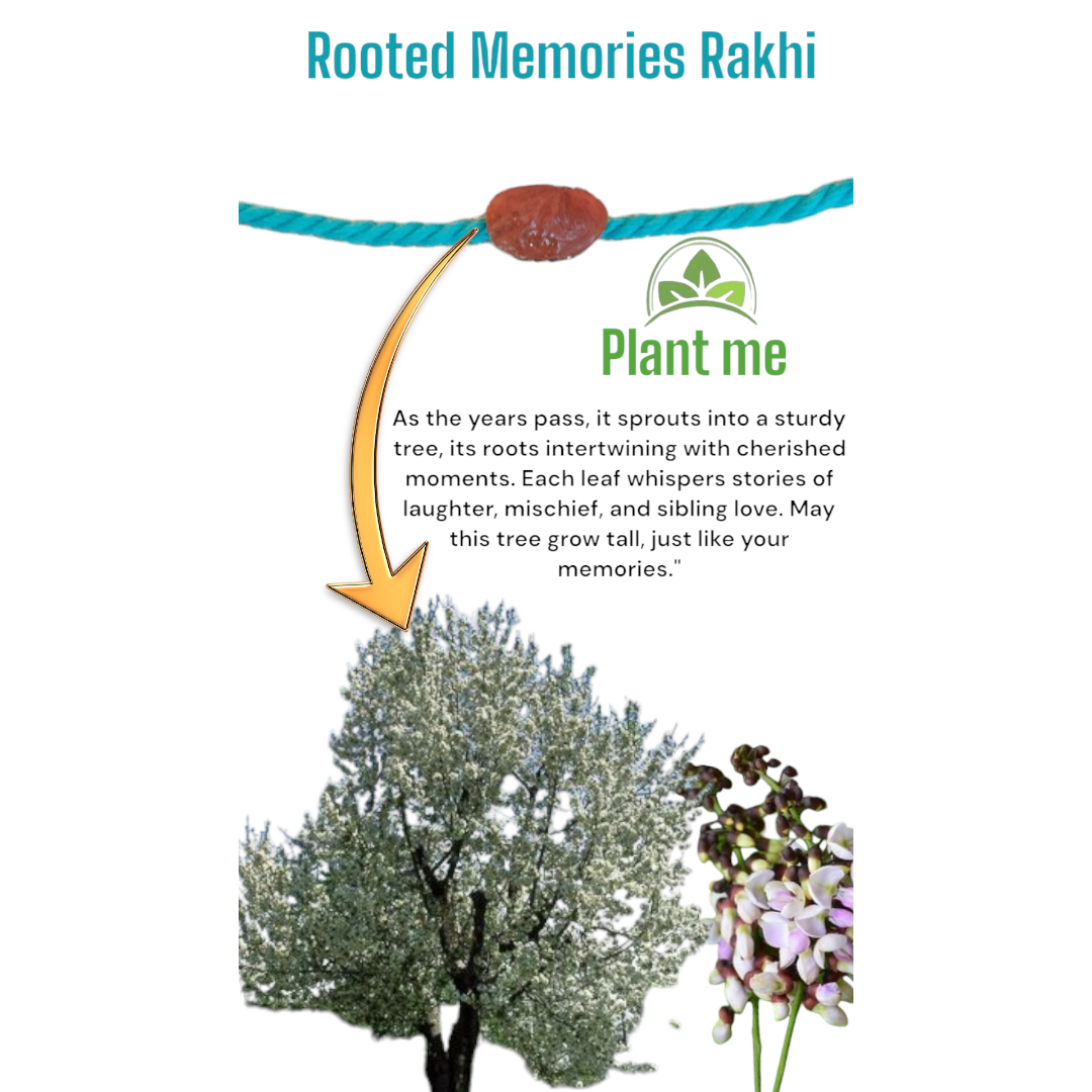 Rooted Memories Rakhi